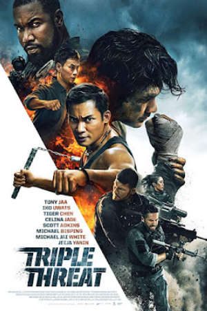 Bộ Ba Vệ Sĩ Thuyết Minh - Triple Threat