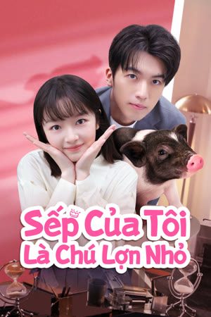 Sếp Của Tôi Là Chú Lợn Nhỏ