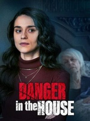 Danger in the House Thuyết Minh 1080p - Danger in the House