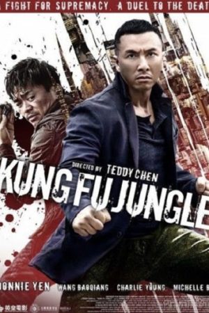 Kế Hoạch Bí Ẩn Thuyết Minh 720p - Kung Fu Jungle