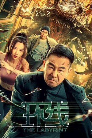 Vòng Lặp VietSub 720p - The Labyrinth