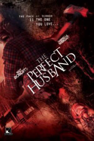 Người Chồng Tuyệt Vời Thuyết Minh - The Perfect Husband