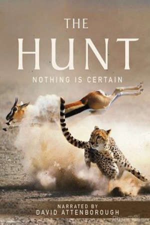 Săn Mồi Thuyết Minh - The Hunt