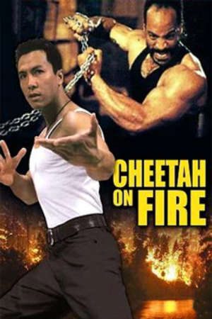 Liệp Báo Hành Động Thuyết Minh - Cheetah On Fire