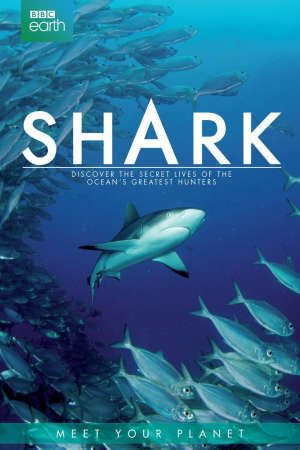 Thế Giới Bí Ẩn Của Cá Mập Thuyết Minh - Shark