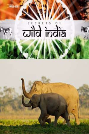 Bí Ẩn Thế Giới Hoang Dã Ấn Độ: Vương Quốc Loài Voi Thuyết Minh - Secrets of Wild India Elephant Kingdom