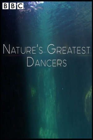 Những Vũ Công Cừ Khôi Của Tự Nhiên Thuyết Minh - Natures Greatest Dancers