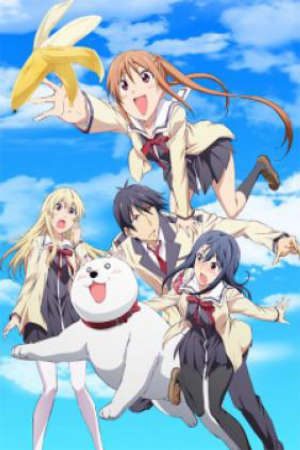 Aho Girl Vietsub - Aho Girl