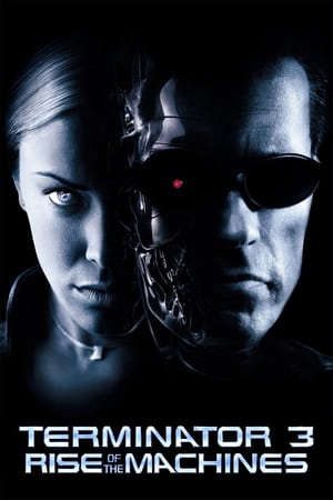 Kẻ Hủy Diệt 3 Người Máy Nổi Loạn HD - Vietsub + Thuyết Minh - Terminator 3 Rise of the Machines