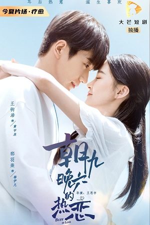 Tình Nồng Nơi Công Sở Trailer - Buff In Love