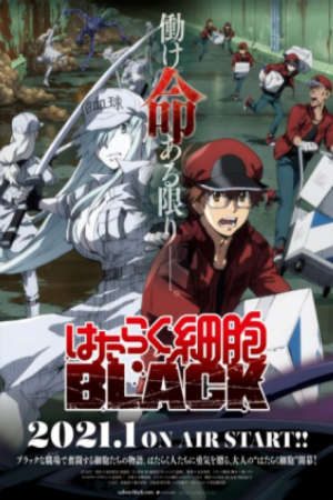 Hataraku Saibou Black (TV) Vietsub - Cells at Work! Code Black