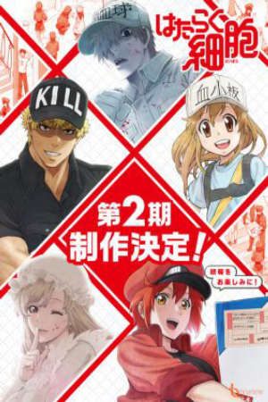 Hataraku Saibou 2nd Season Vietsub - Hataraku Saibou!!, Cells at Work! 2nd Season